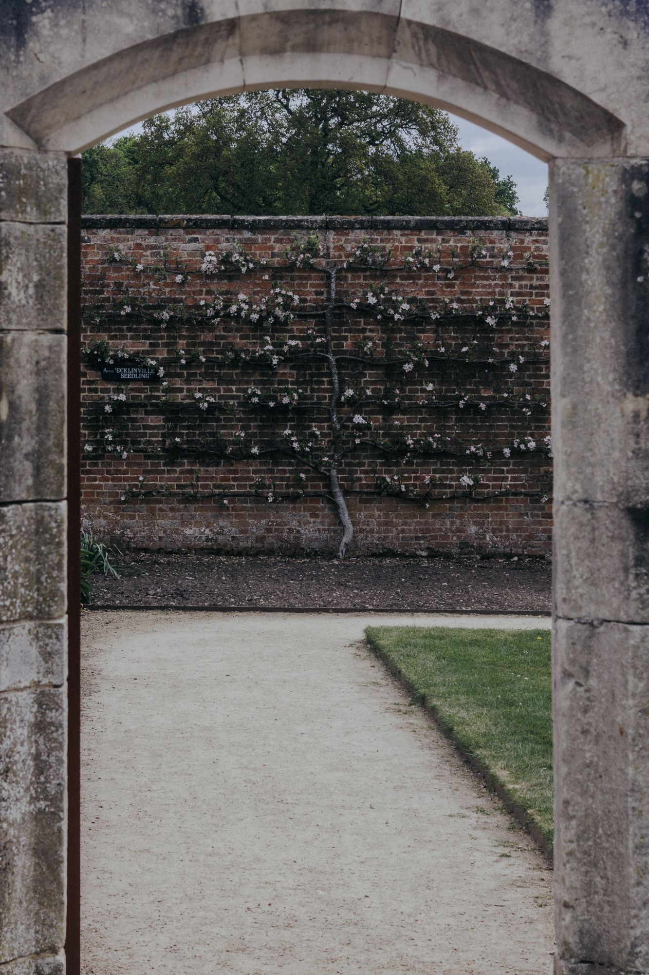 20250505-_87A6924-Enhanced-NR.jpg