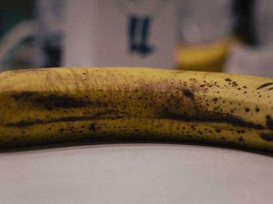 20251114-_87A7989.jpg