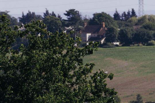 20260619-_87A7546.jpg