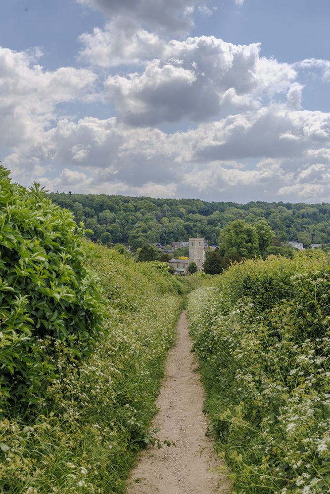 The narrow bridleway leading into Aldbury, with the village church in the distance.