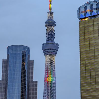 Cover photo for the album Tokyo Skytree Vistas