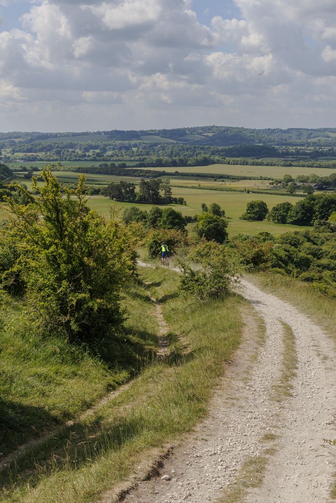 A path between Pitstone Hill and Aldbury Nowers, following the route of Grim's Ditch.