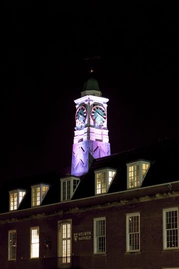 20250131-_87A0523-Enhanced-NR.jpg