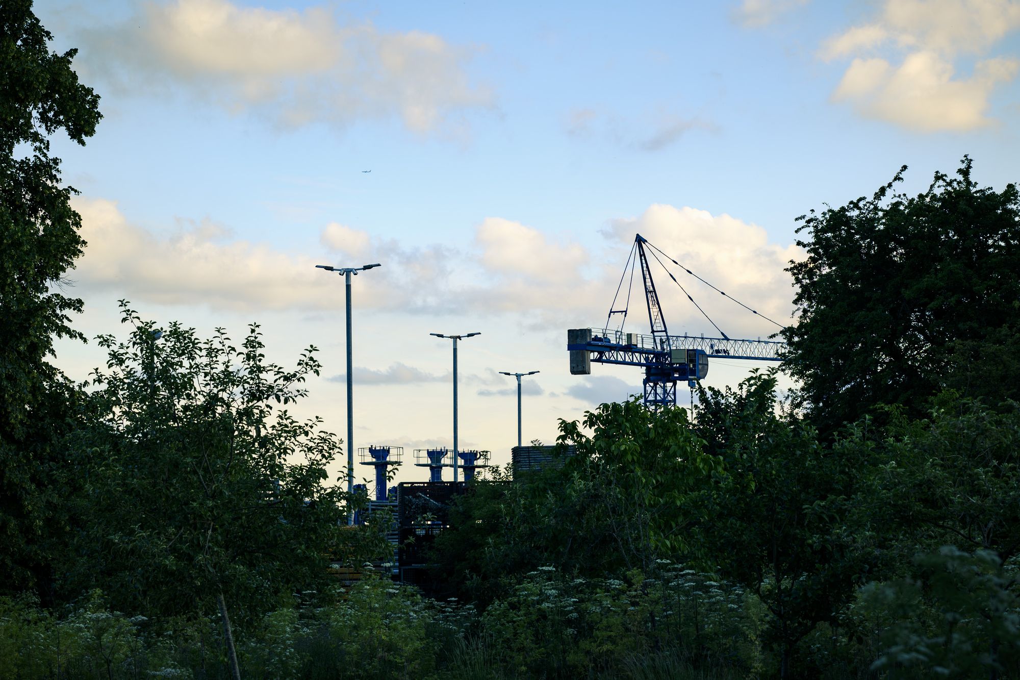 20260620-_DSC5837.jpg