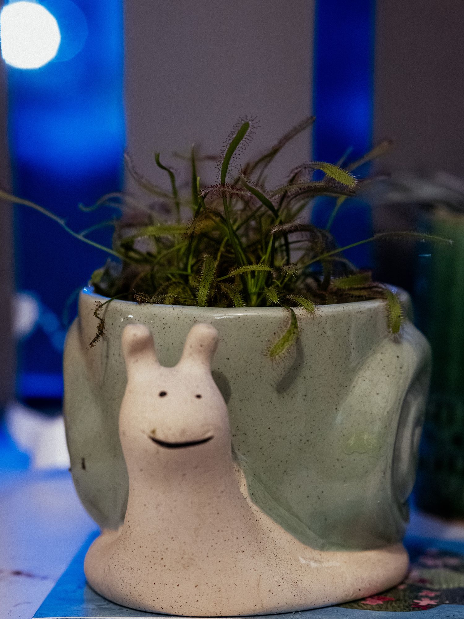 20260128-_DSC0627.jpg