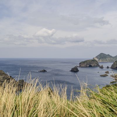 Cover photo for the album The Izu Peninsula