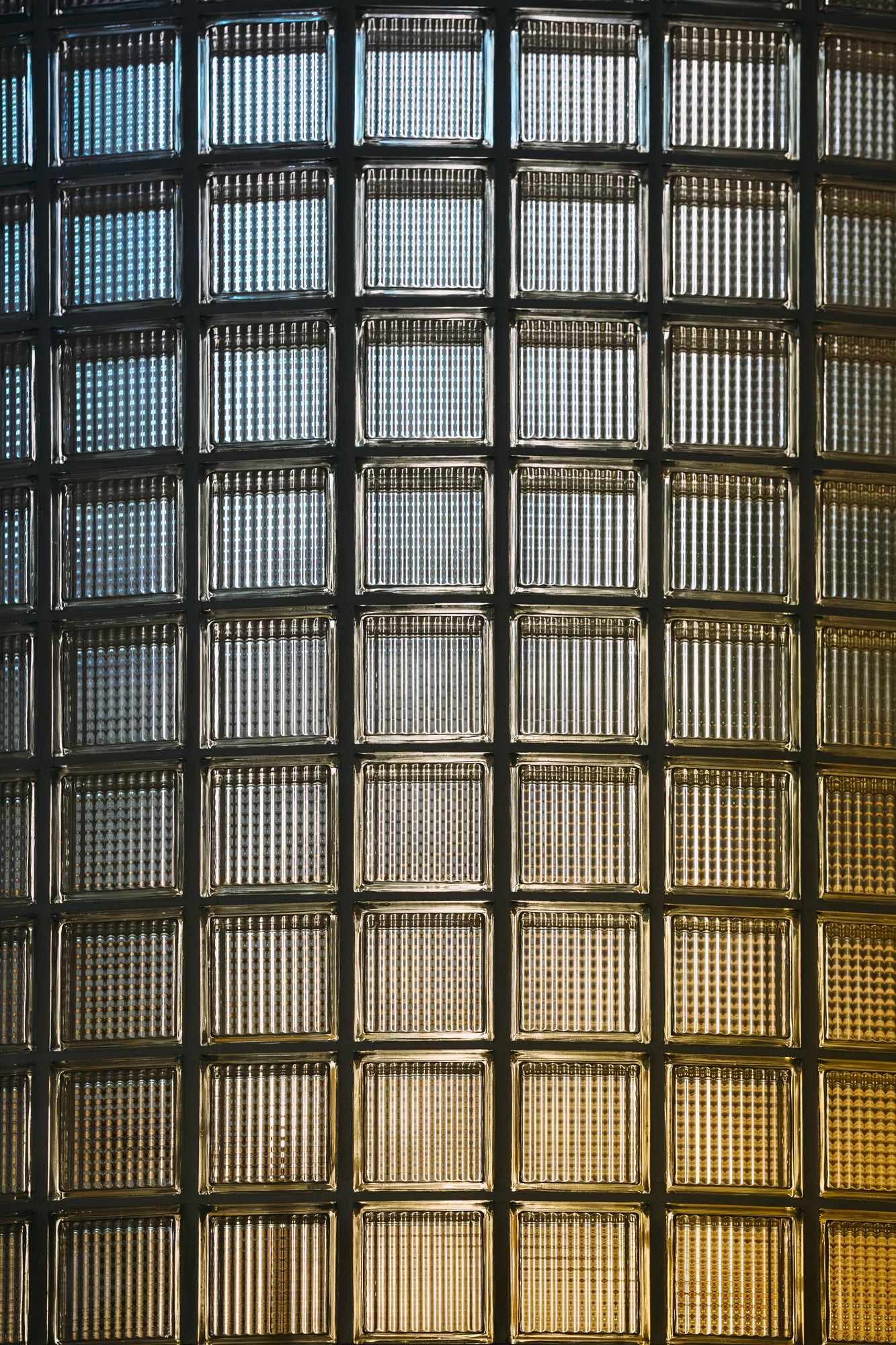 20260124-_DSC0501.jpg