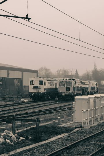 20250116-_87A9278-Enhanced-NR.jpg