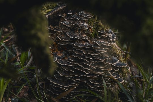20240317-_87A9095-Enhanced-NR.jpg