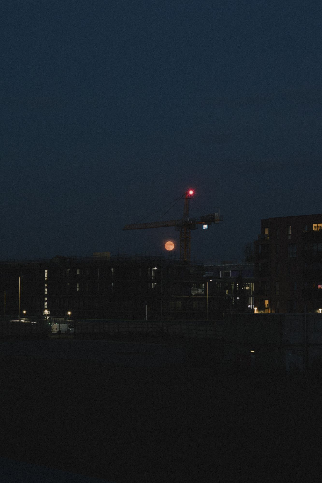 20250610-_87A1337-Enhanced-NR.jpg