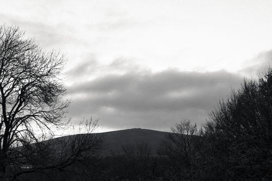20251107-_87A7802.jpg