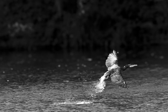 20231105-_87A0479-Enhanced-NR-2.jpg