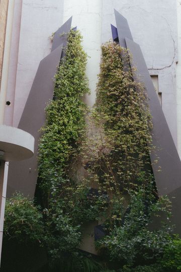 _87A3750.jpg