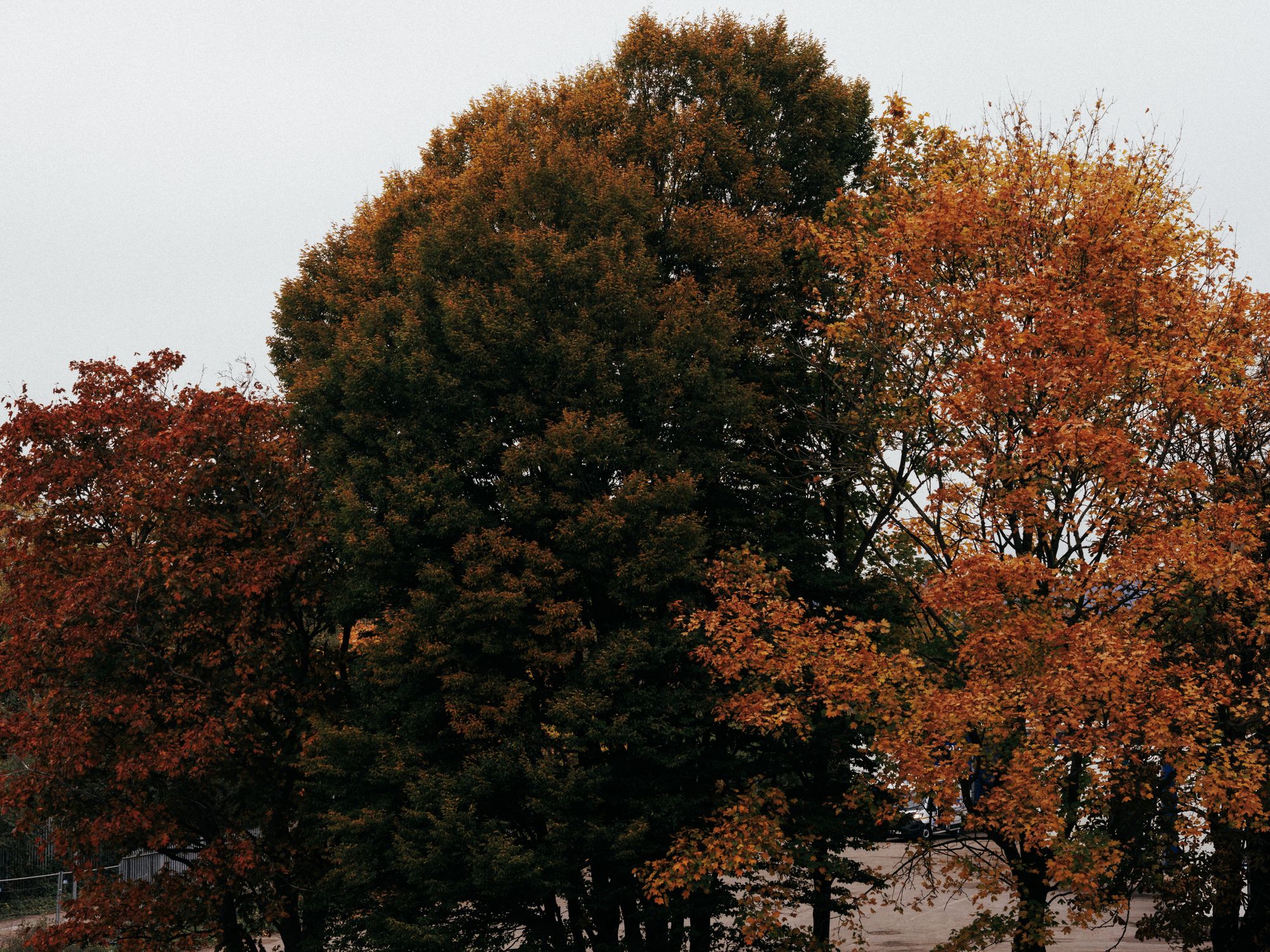 20251014-_87A6671-Pano.jpg