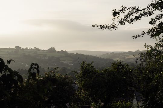 20250630-_87A2980.jpg