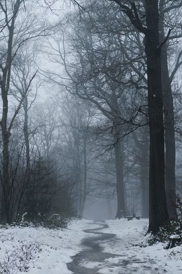 20250105-_87A8371-Enhanced-NR.jpg