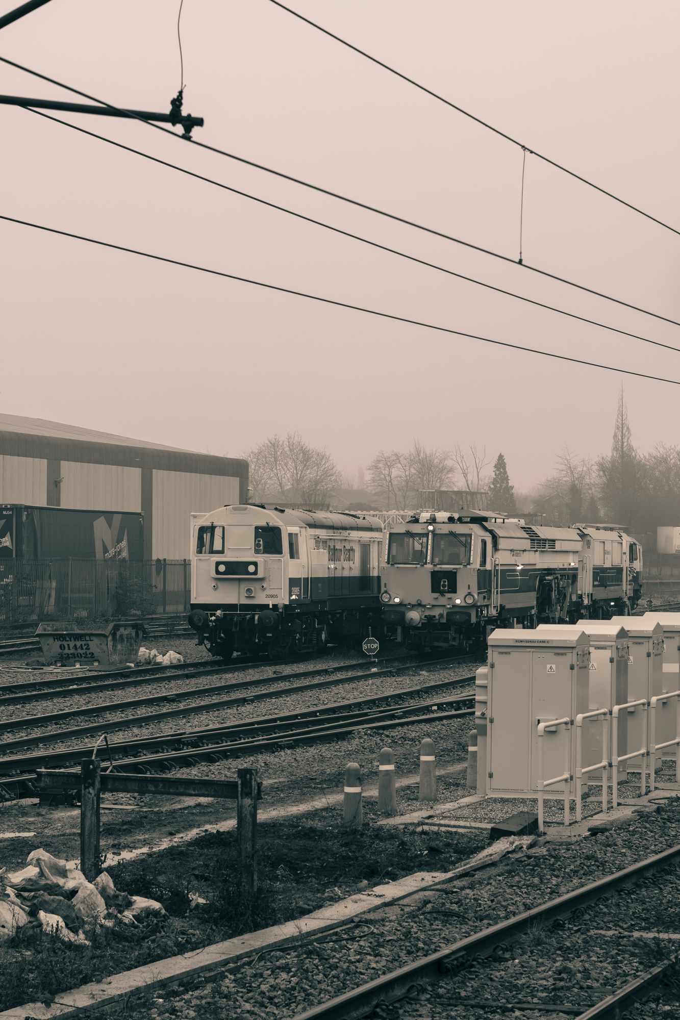 20250116-_87A9278-Enhanced-NR.jpg