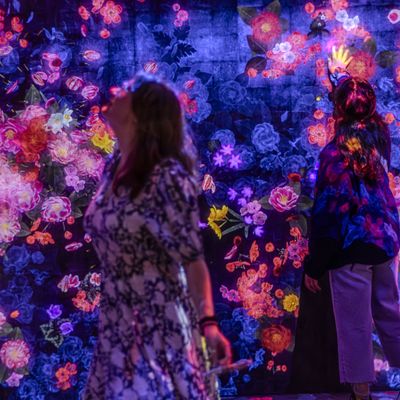 Cover photo for the album teamLab Borderless