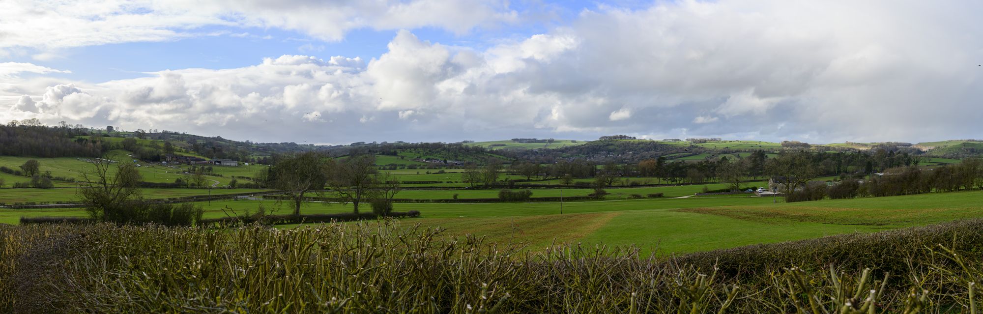 20260313-_DSC2078-Pano.jpg