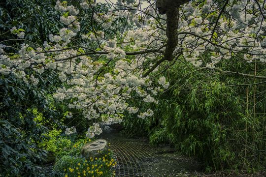 20240322-_87A9319-Enhanced-NR.jpg