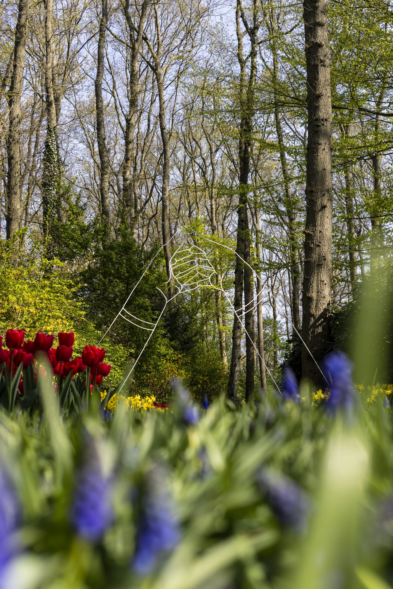 20250411-_87A5246-Enhanced-NR.jpg