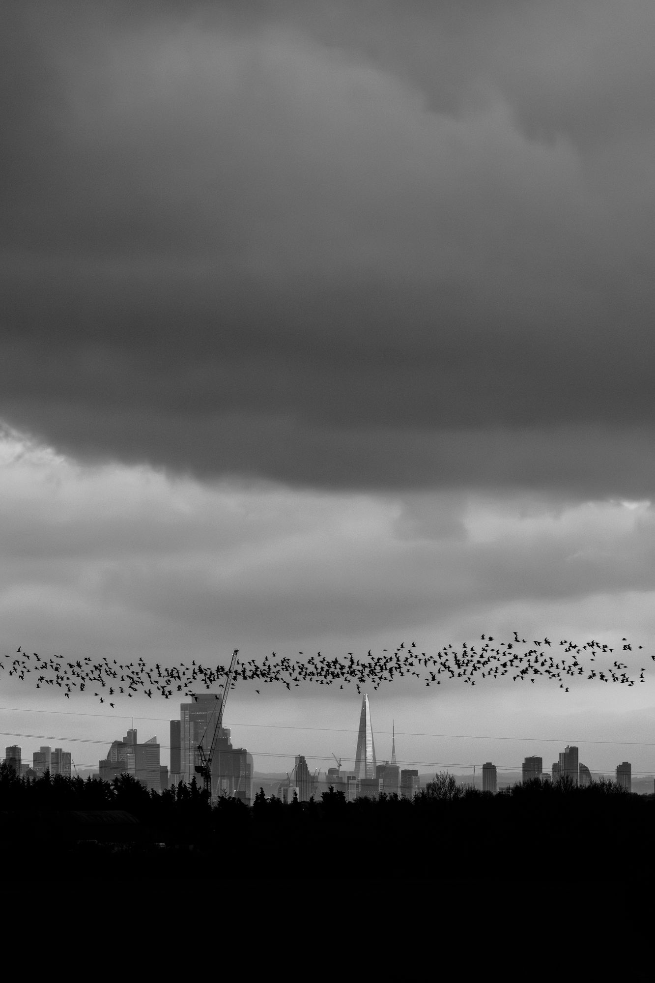 _87A0568-Enhanced-NR.jpg