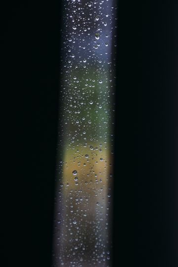 20260205-_DSC0843.jpg