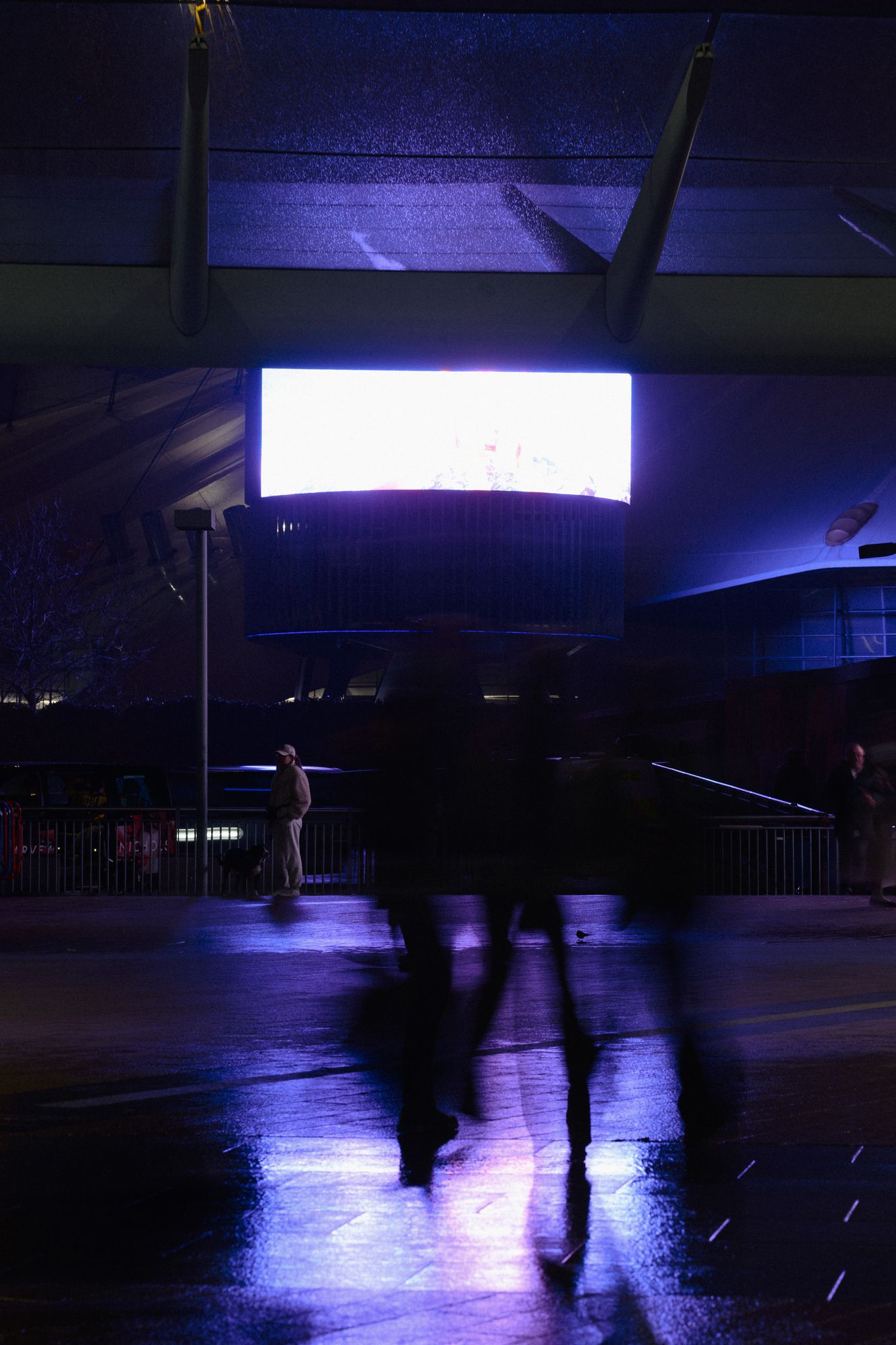 20260216-_DSC1656.jpg