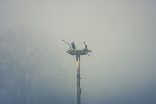 20250301-_87A2627-Enhanced-NR.jpg