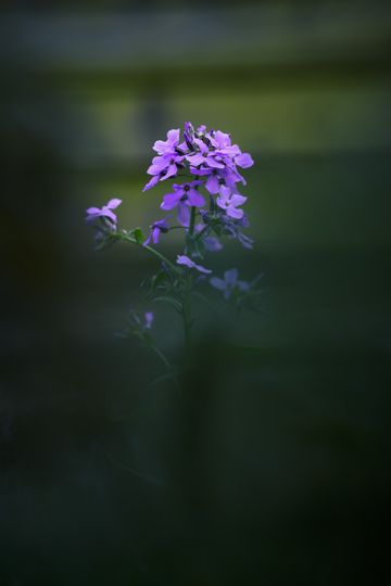 20260522-_DSC4128.jpg